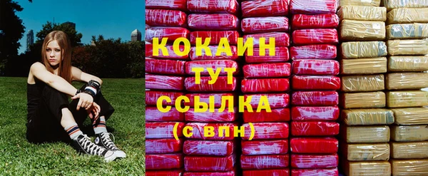 прущие крисы Алексеевка