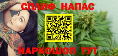 мдпв Жуковский