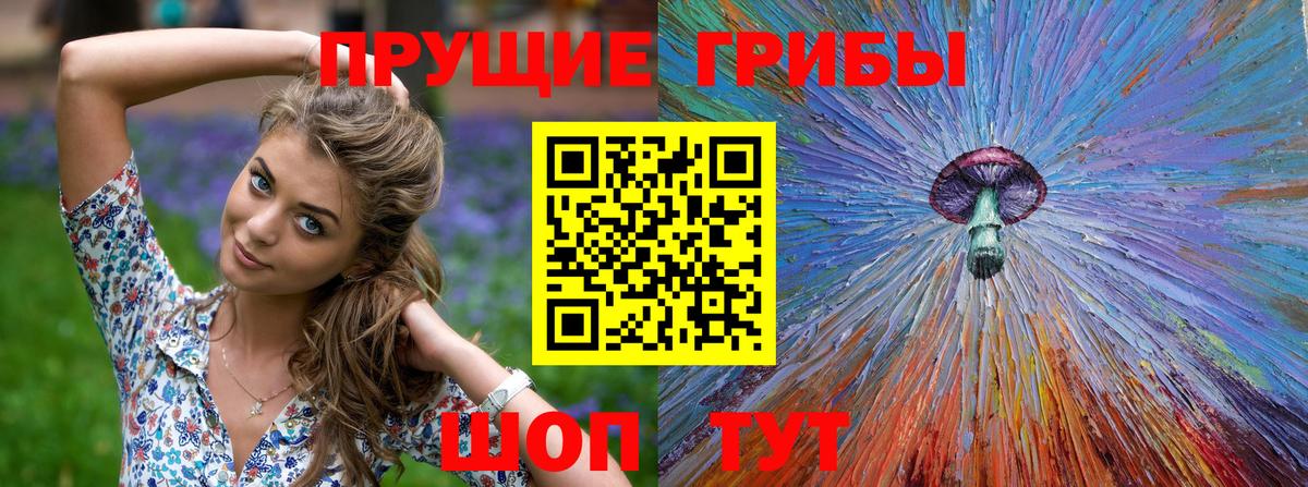 Галлюциногенные грибы Psilocybine cubensis Нижний Новгород