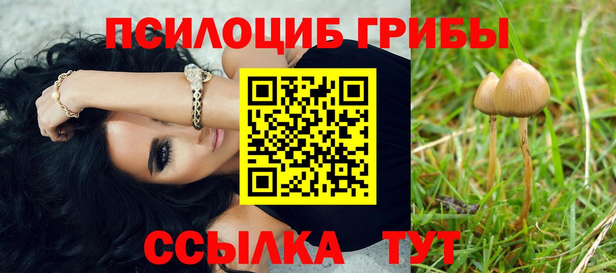 Псилоцибиновые грибы мицелий  Галлюциногенные грибы GOLDEN TEACHER  Вход с VPN  Нижний Новгород 