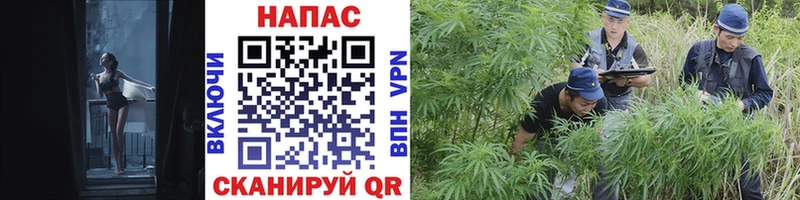 магазин    мориарти формула  Бошки марихуана LSD WEED  Нижний Новгород  кракен вход 
