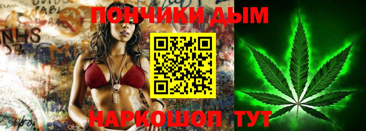 Бошки марихуана план  Вход с VPN  Шишки марихуана ГИДРОПОН  Канабис планчик  Нижний Новгород 